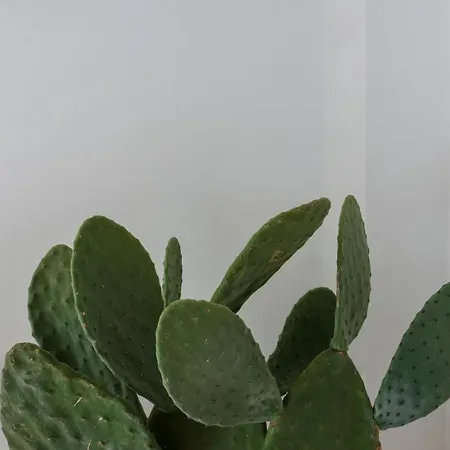 Malalbergo Auberge de jeunesse *