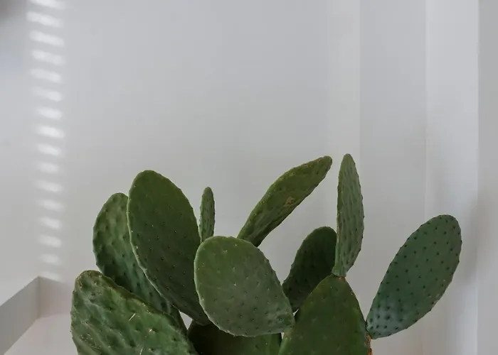 Malalbergo Auberge de jeunesse *